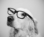 Mister_Smart_by_April113.jpg