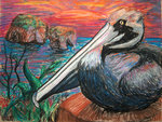 Pelican_at_Sea_by_MichaelDavidBishop.jpg